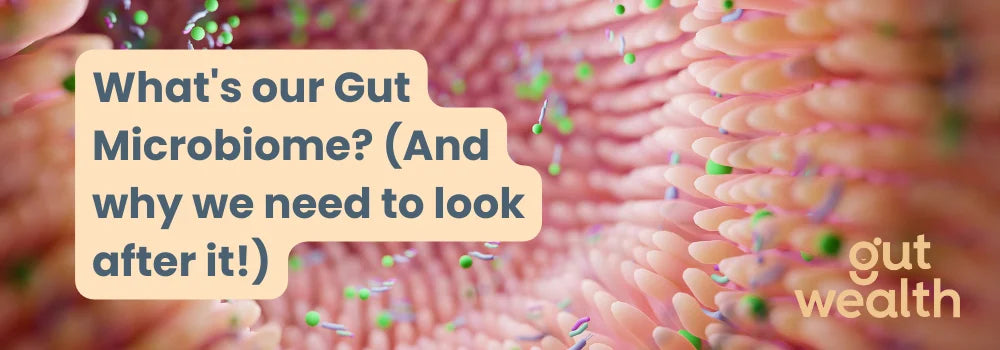 What's our Gut Microbiome? (And why we need to look after it!)